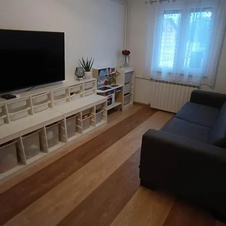 Apartment Roki